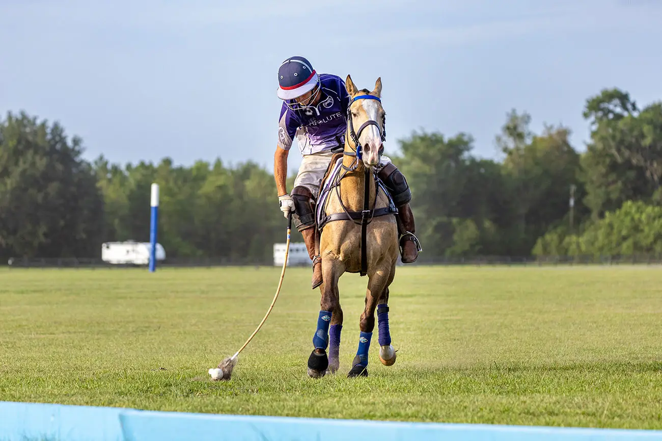 003_2025-OMC-Polo-8837