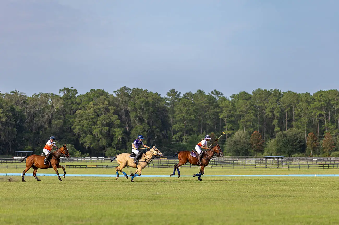 004_2025-OMC-Polo-8696