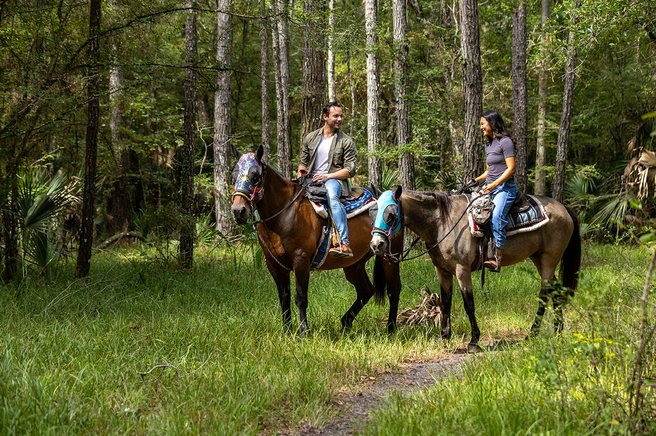 Equine 28 010_2025-Ocala-Marion-County-Makin-Tracks-21086