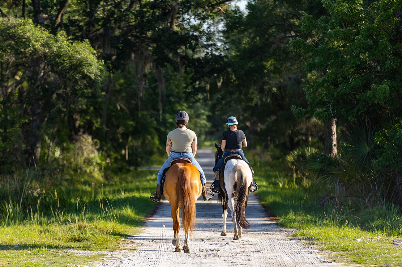 Equine 27 017_2025-FWC-Tosohatchee-20376