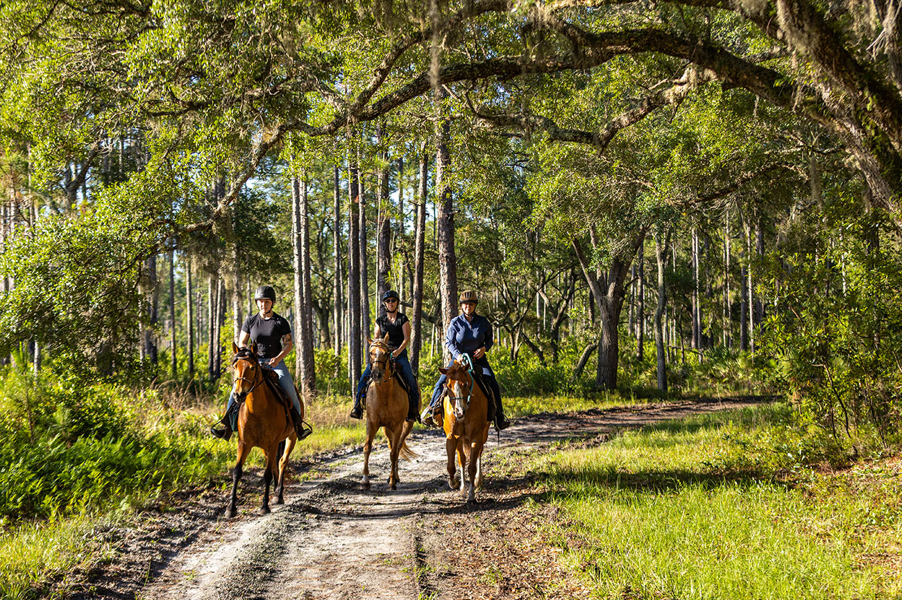 Equine 16 019_2025-FWC-Split-Oak-25122