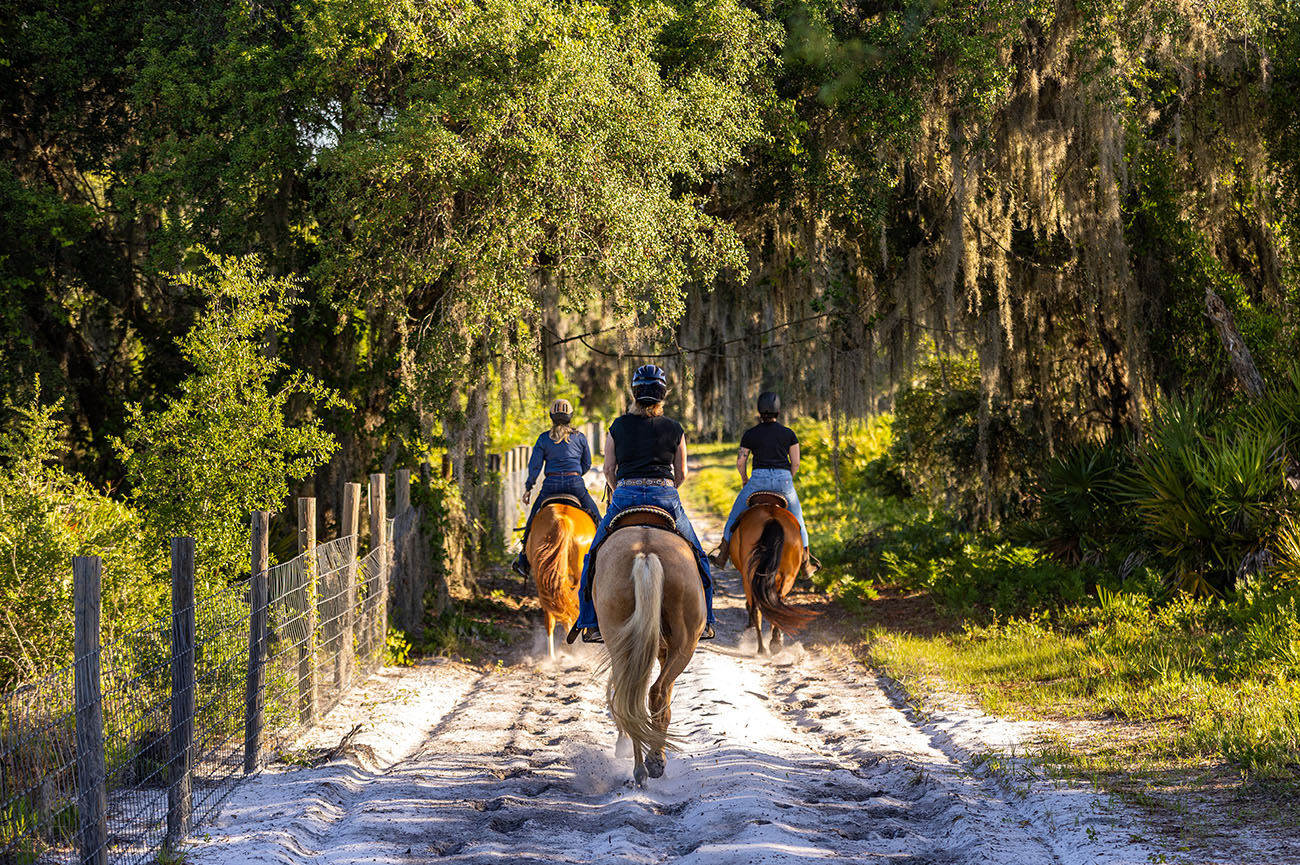Equine 15 020_2025-FWC-Split-Oak-25086