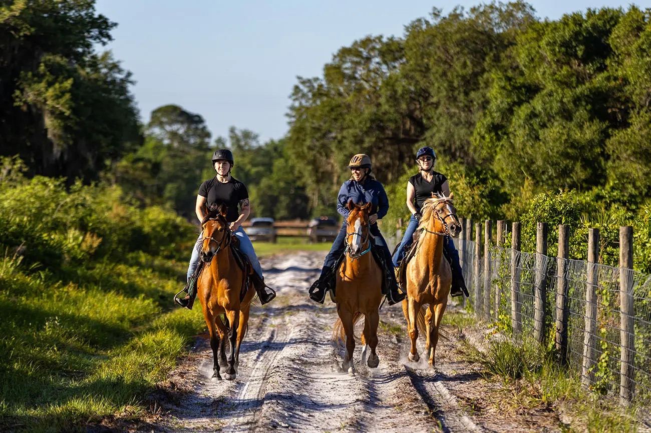 021_2025-FWC-Split-Oak-25068