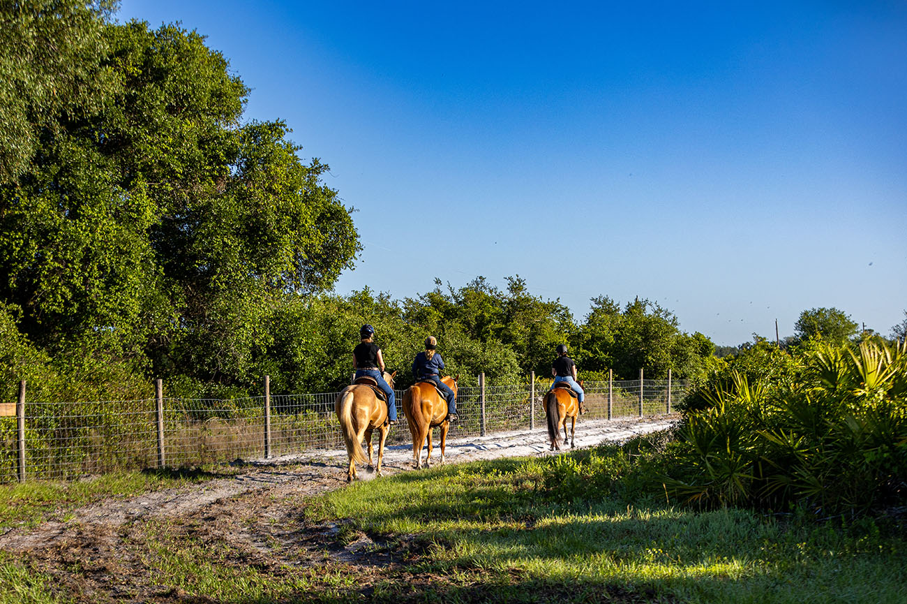 Equine 13 022_2025-FWC-Split-Oak-25046