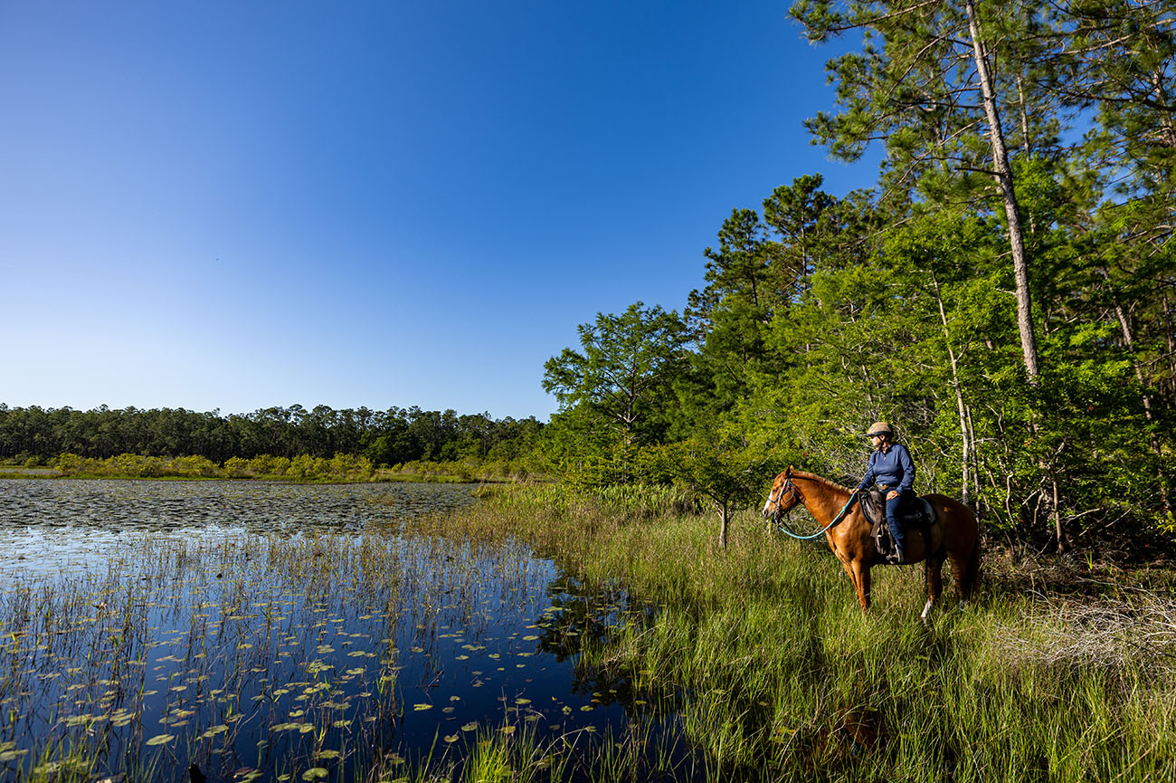 Equine 14 023_2025-FWC-Split-Oak-13439