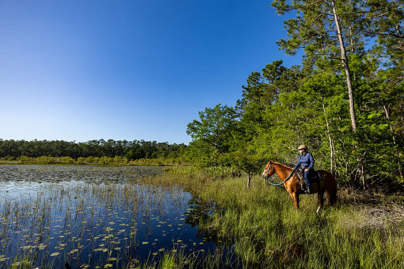 023_2025-FWC-Split-Oak-13439