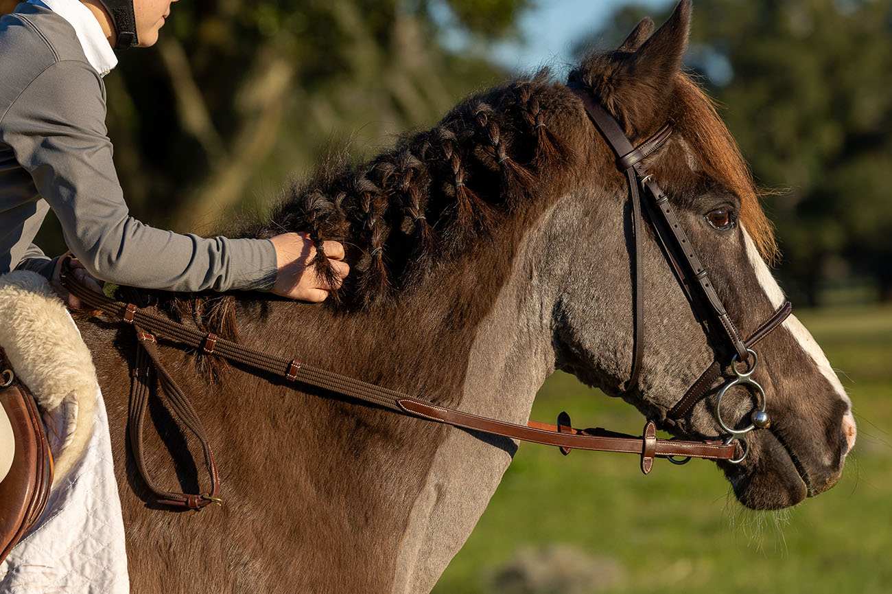 Equine 5 027_2023-OMC-Horse-riding-9692