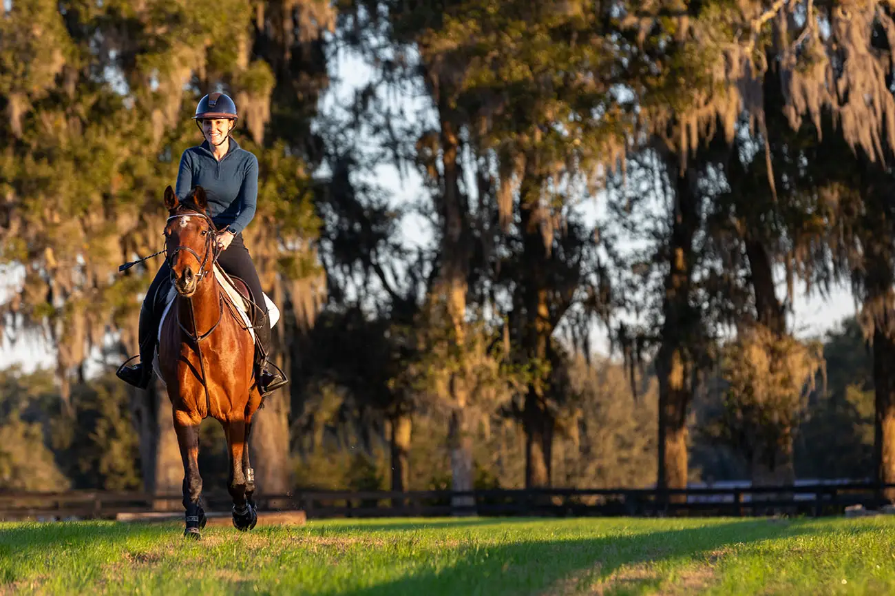 Sport horse photography at competition in Ocala Florida